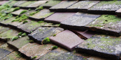 Bury roof repair costs
